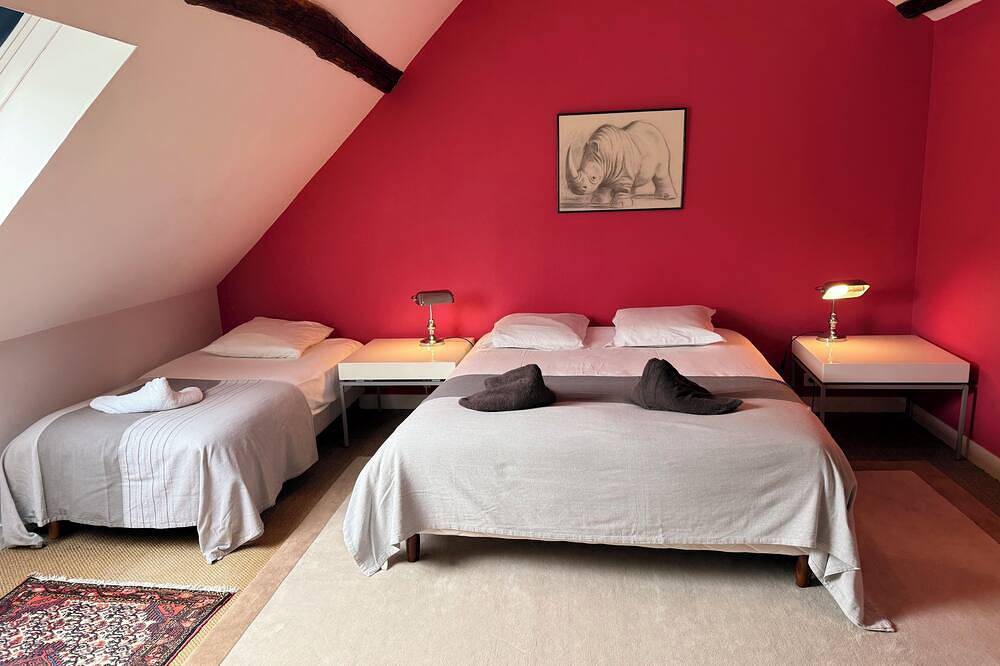 Le Clos des Huards Vineyards, Bikes & Castles in Cour-Cheverny, Sologne