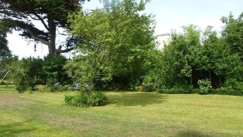 Gîte pour 3 personnes, avec Jardin à Penvénan - 4