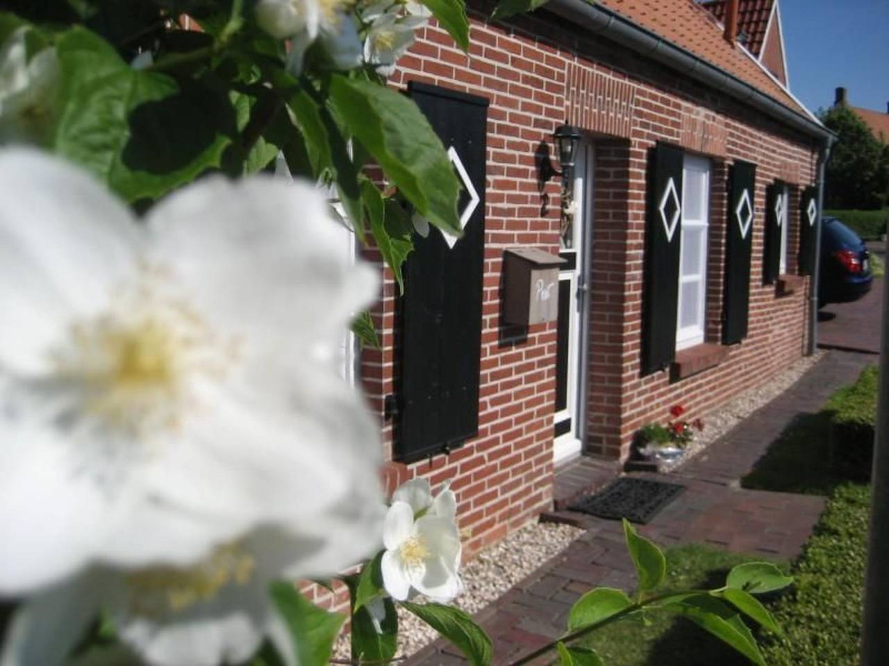 1einer Mann in Rysum, Krummhörn