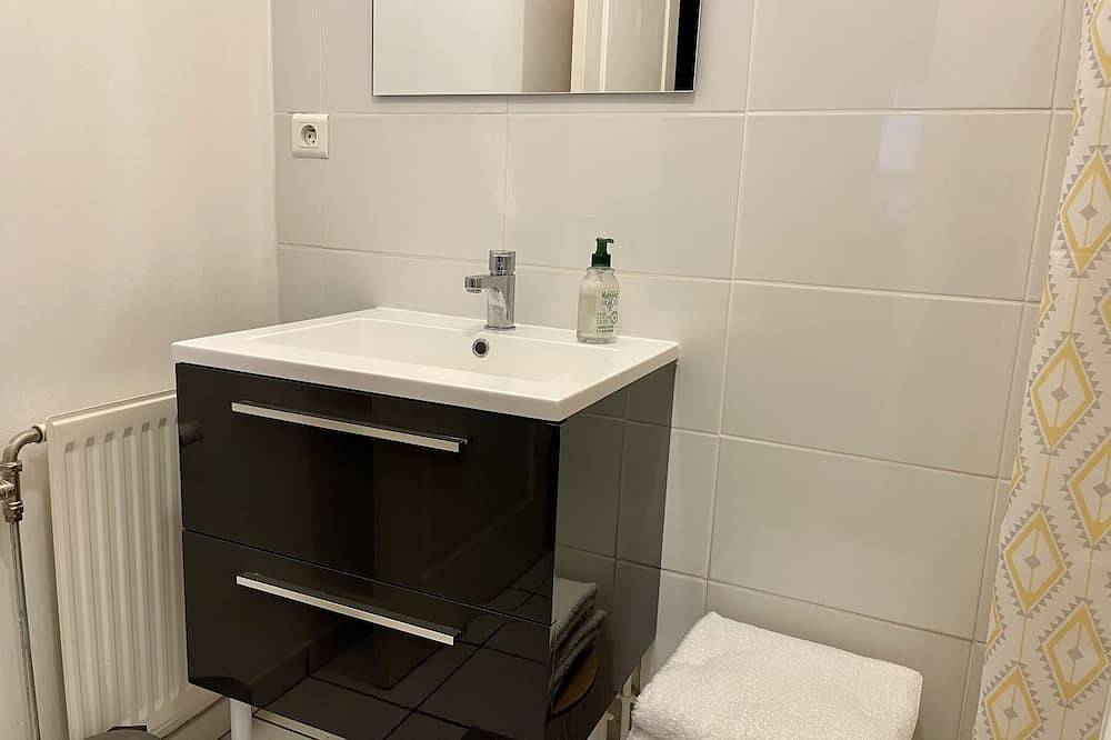 Apartamento entero, Le Cadet Roussel-Apartamento-Club-Baño privado con ducha-Vista a la Ciudad in Auxerre, Auxerre region