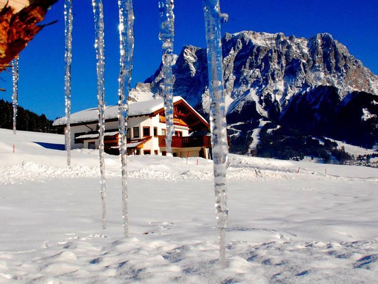 Ganzes Studio, Haus Haas - Fewo 2-4 (Nichtraucher) in Lermoos, Ammergauer Alpen (Österreich)