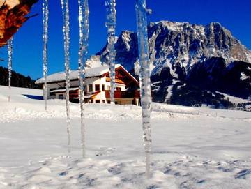Studio für 3 Personen, mit Terrasse und Garten, kinderfreundlich in Lermoos