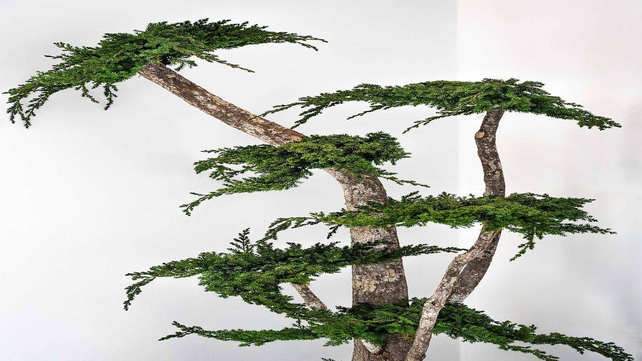 Appartement de vacances entier, Ferienwohnung für 10 Personen (440 m²) in Monaco in Monte Carlo, Région de Nice