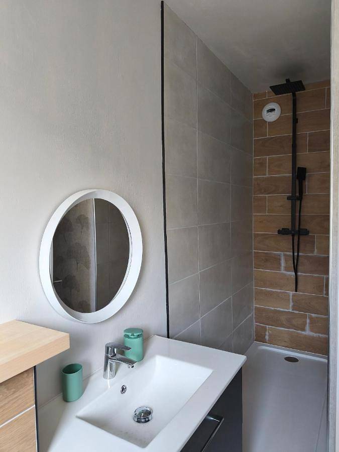 Gîte pour 3 personnes, avec vue à Saint-Didier-en-Velay - 4