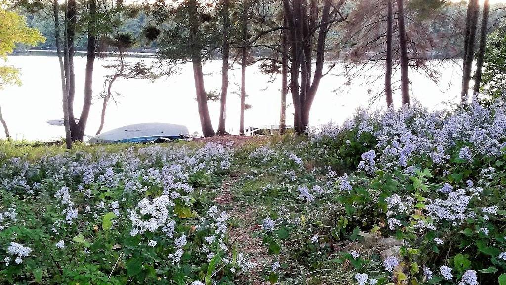 Friedliche Seeuferpromenade mit Schwimmsteg und Kajaks! Volle Küche! Wärme & Luft! in Boothbay Harbor, Lincoln County (Maine)