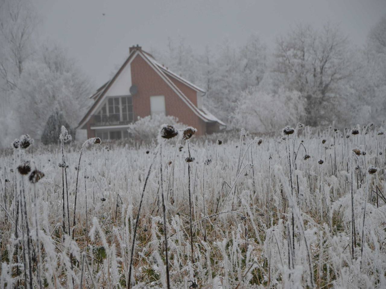 Gästehaus Feldmann in Emsbüren, Emsland