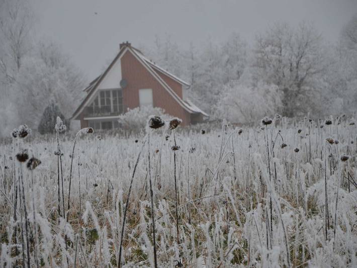 Ferienhaus für 12 Personen, mit Garten und Sauna sowie Ausblick, mit Haustier in Niedersachsen - 4