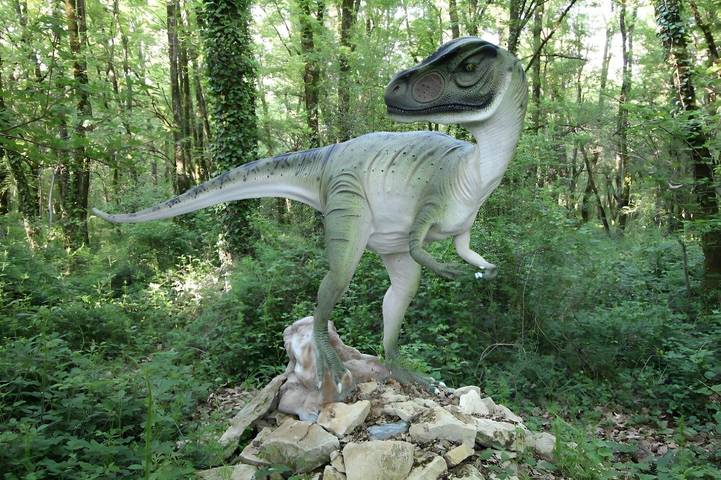 Cabane dans les arbres pour 4 personnes, avec piscine et jardin ainsi que jacuzzi et terrasse, animaux acceptés à Lavaurette - 4