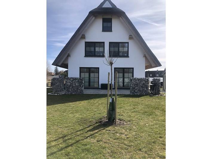 Ferienhaus für 4 Personen, mit Terrasse und Garten sowie Sauna in Dranske - 3