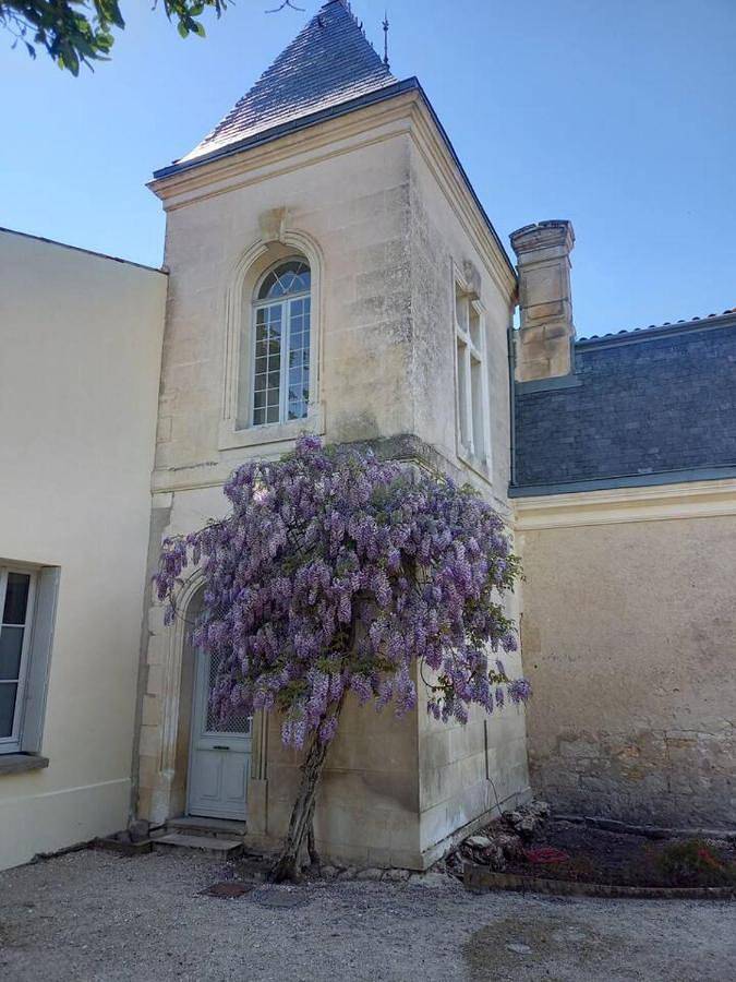 Gîte pour 2 personnes, avec jardin à Saintes - 2