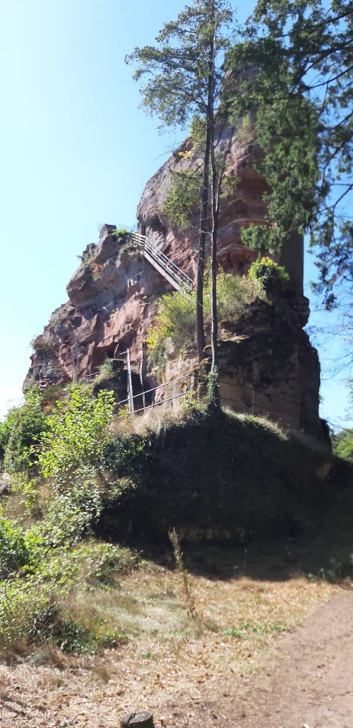 Ferienwohnung für 3 Personen, mit Terrasse, mit Haustier in Ludwigswinkel - 3