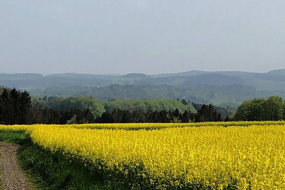 Kunstvoll eingerichtetes Ferienhaus mit Wellnessbereich in Steffeln, Naturpark Hohes Venn-Eifel