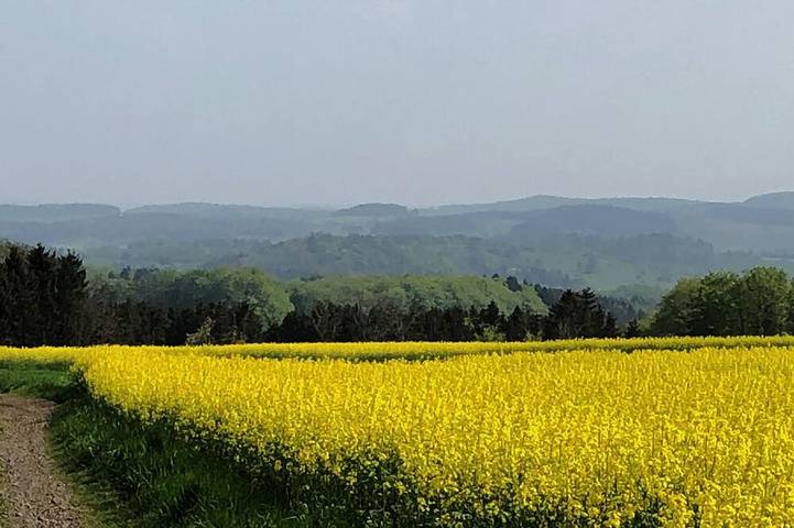 Ferienhaus für 4 Personen, mit Garten und Terrasse sowie Sauna und Whirlpool