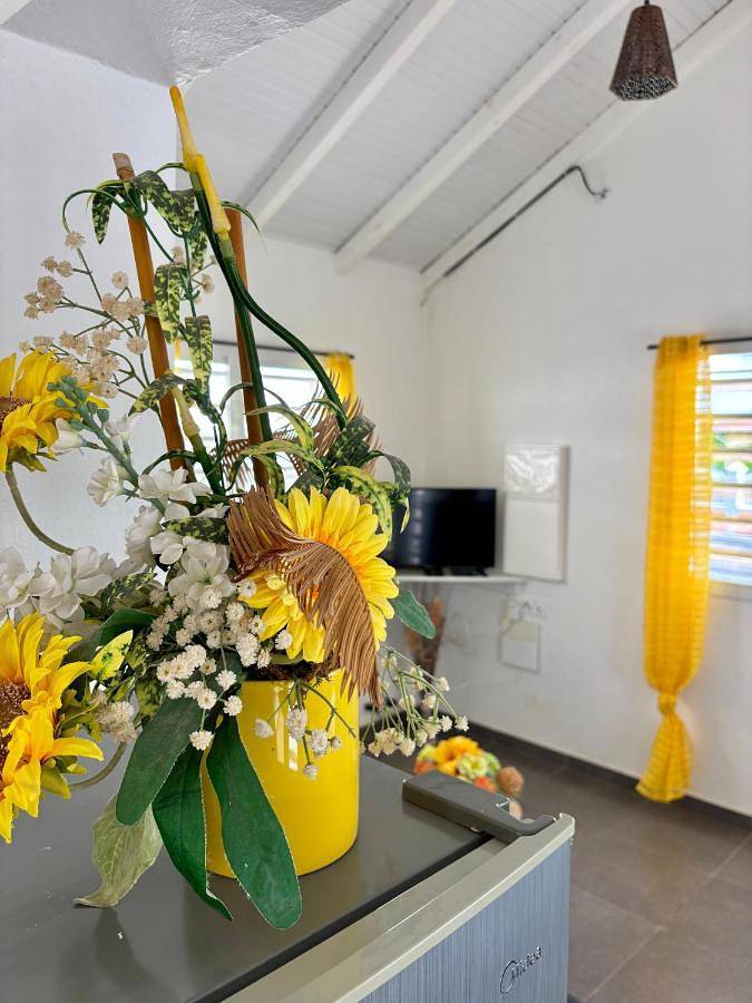 Location de vacances pour 5 personnes, avec terrasse à Anse-Bertrand - 3