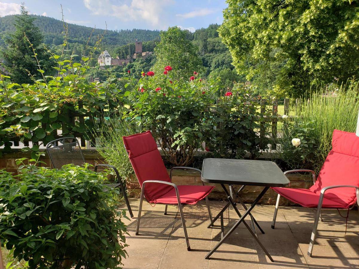 Ganze Wohnung, Panorama-Blick Miltenberg, 3 Pers., zentr., am Main, Terrasse, Bootverleih, P in Miltenberg, Spessart-Mainland