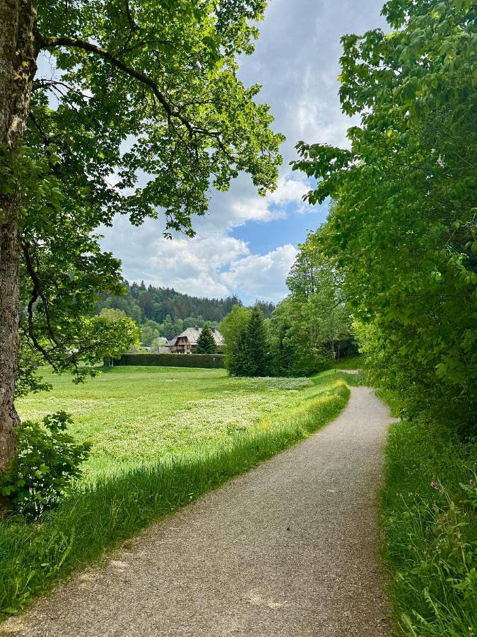 Hollhouse - Bed & Breakfast in Hinterzarten, Forêt-Noire du Sud