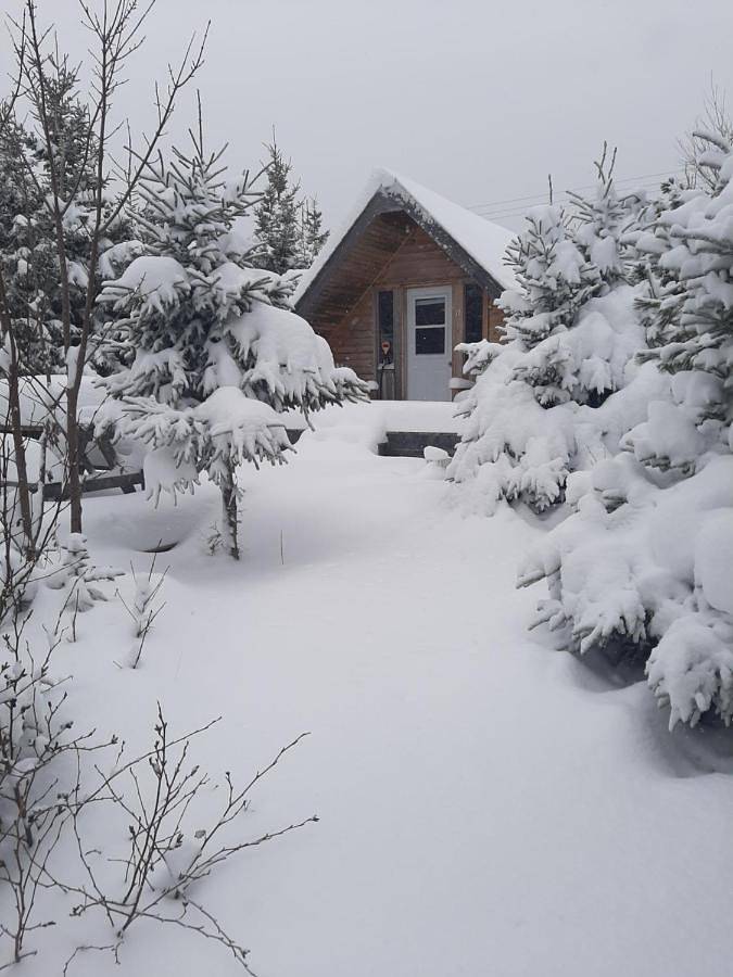 The Zzzz Moose Camping Cabins in Cape Breton Island