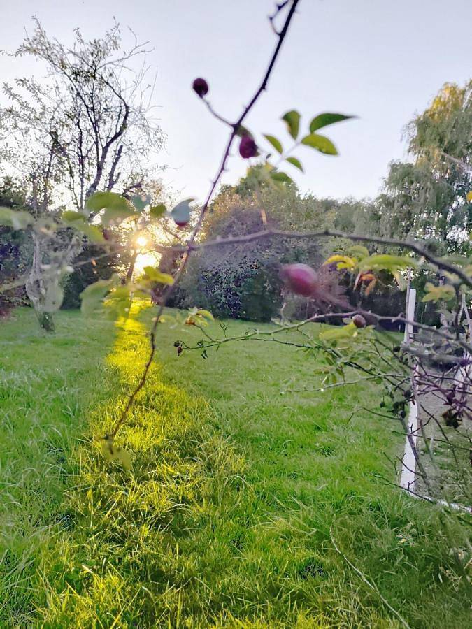 Location de vacances pour 10 personnes, avec vue ainsi que piscine et terrasse à Poulaines - 4