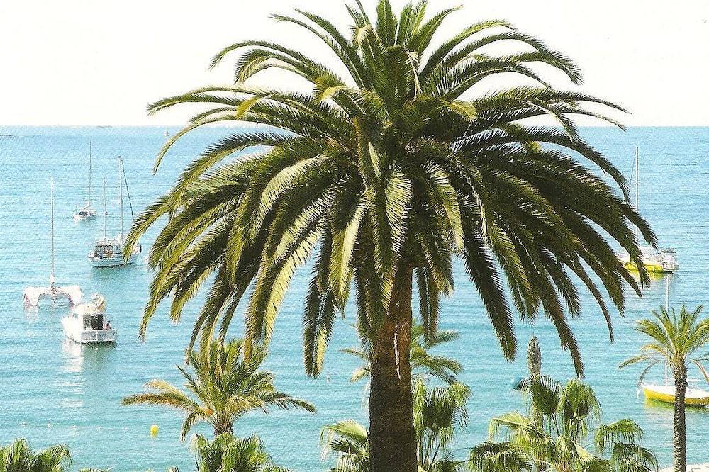 Geheel appartement, Studio Met Airconditioning. Uitzicht op palmbomen, dicht bij grote gratis parkeergelegenheid en stranden in Carqueiranne, Toulon regio