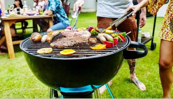 Gîte pour 14 personnes, avec jardin, animaux acceptés à Tonnay-Charente - 3