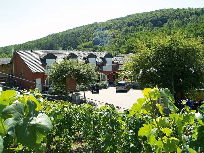Lisa - Bodega en Marsberg in Randersacker, Región Viticola de Franconia