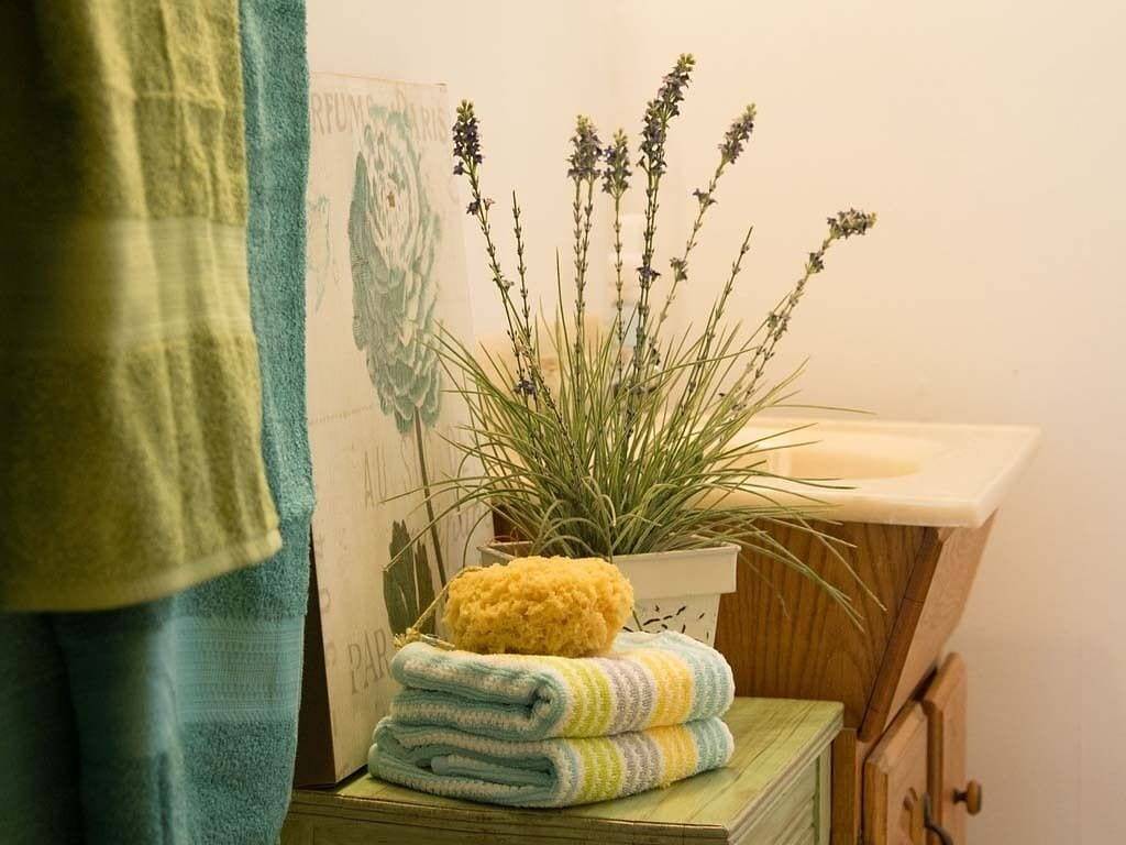 Genießen Sie Breezes on the James River, 15 Minuten von der Innenstadt von Richmond entfernt in Henrico County