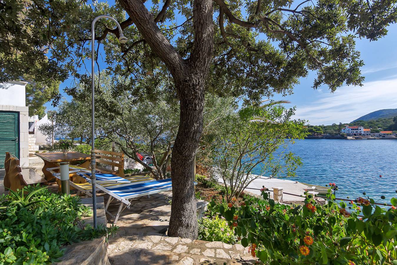 House Sea rose in Hvar