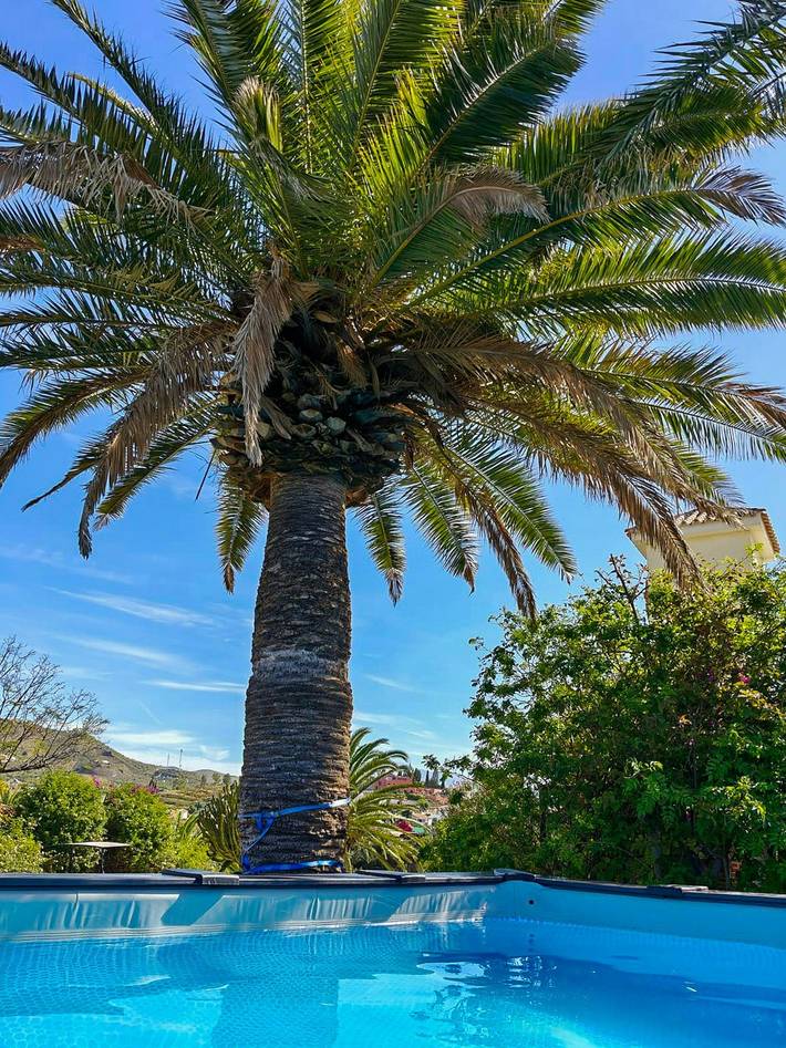 Casita en torre del reloj cerca de Málaga in Benajarafe, Vélez-Málaga