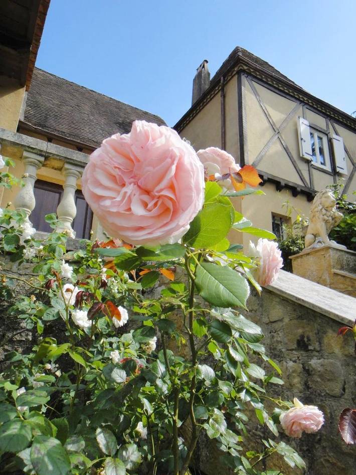 Gîte pour 4 personnes, avec Terrasse ainsi que Jardin et Vue à Monplaisant