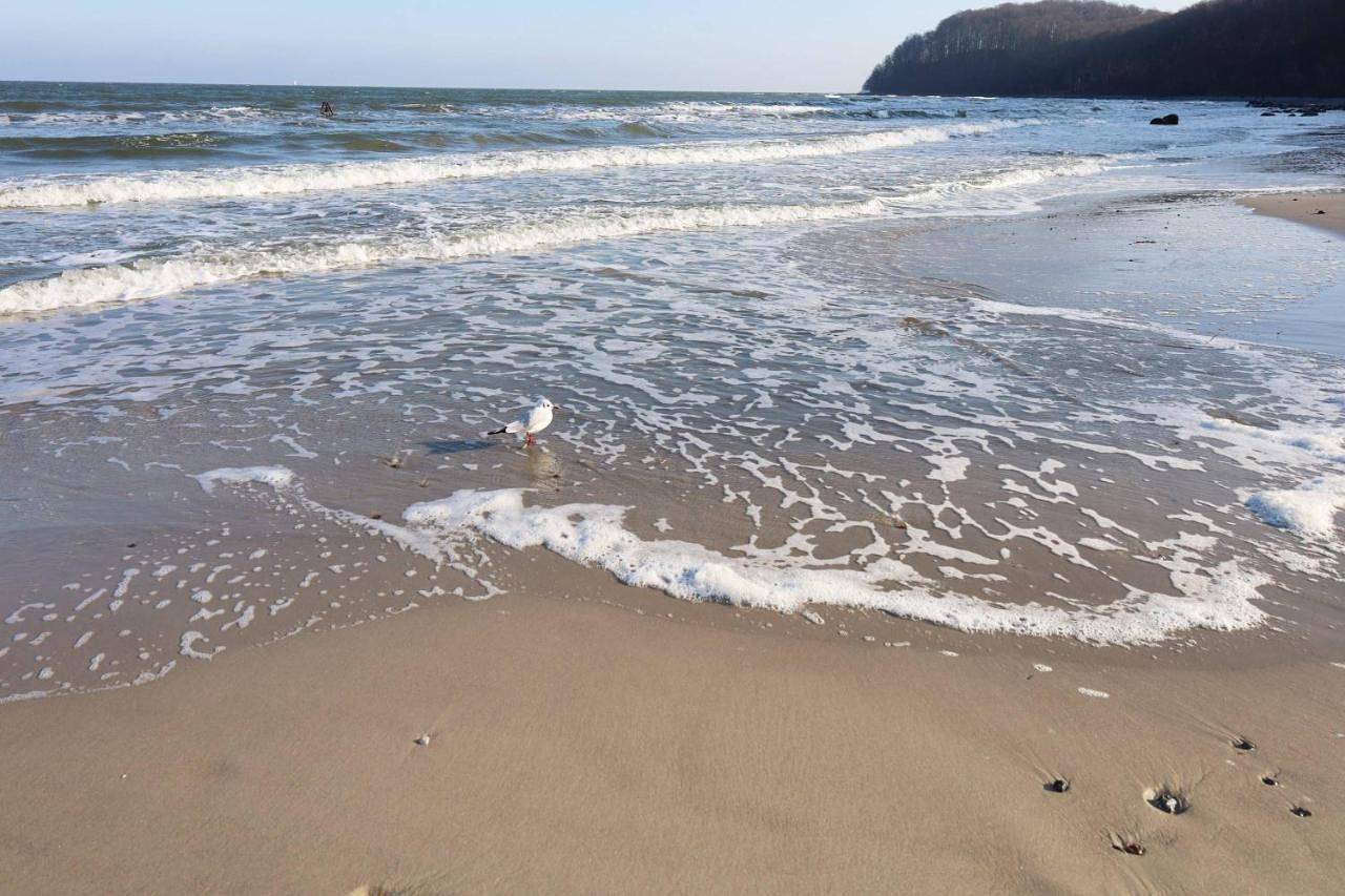 Villa Strandperle, App 09, nur 20m zum Strand, Toplage in Ostseebad Binz, Binz