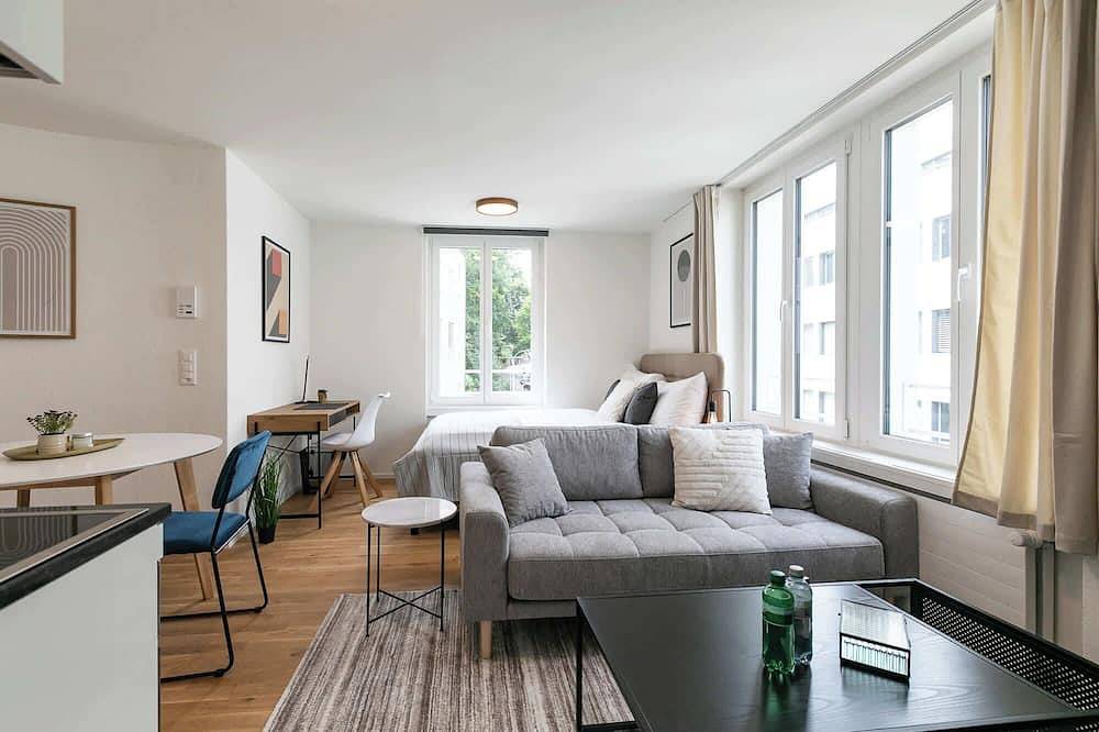 Appartamento intero, Studio Klosterhof con parcheggio in San Gallen (Svizzera), Zurich Prealps