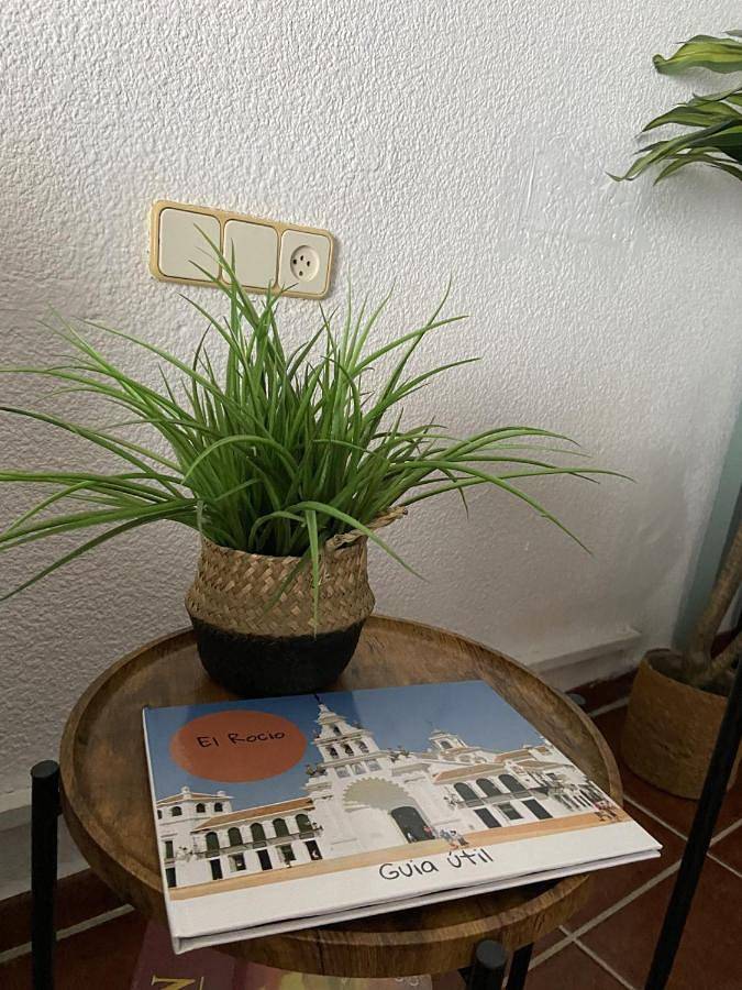 Gîte pour 6 personnes, avec terrasse, animaux acceptés à El Rocío - 4