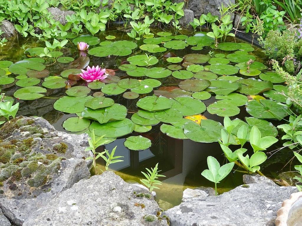 Ferienwohnung Bogentenne - Ferienwohnung in einem historischen Fachwerkhaus aus dem Jahre 1740 in Eußenheim, Maindreieck