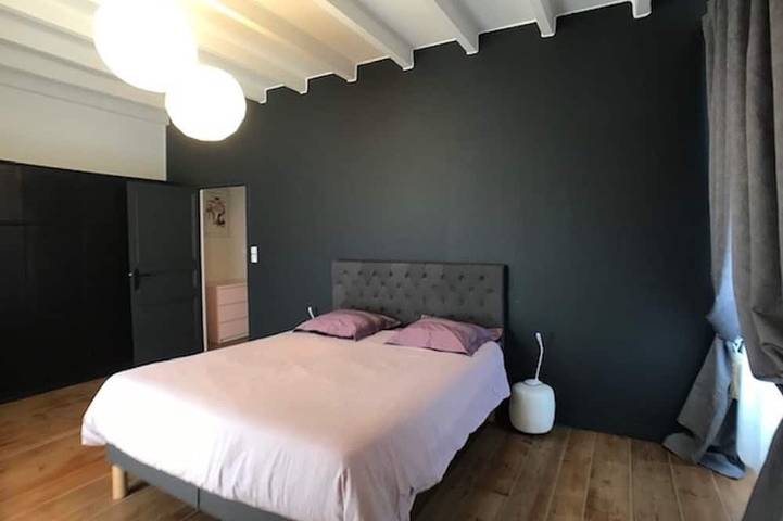 Location de vacances pour 12 personnes, avec terrasse et jardin à Champagné-les-Marais - 2