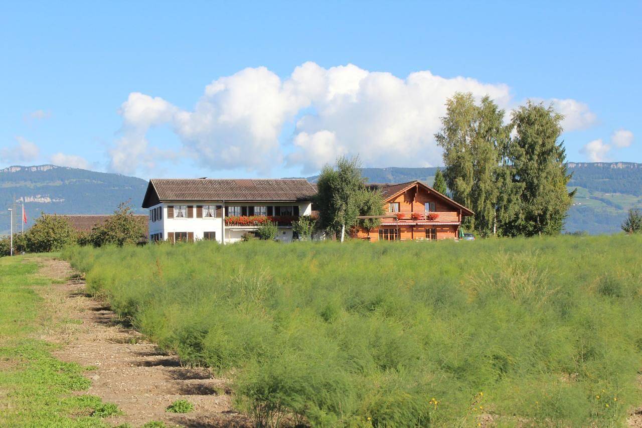 Ganze Ferienwohnung, Weierhof in Subingen, Kanton Solothurn