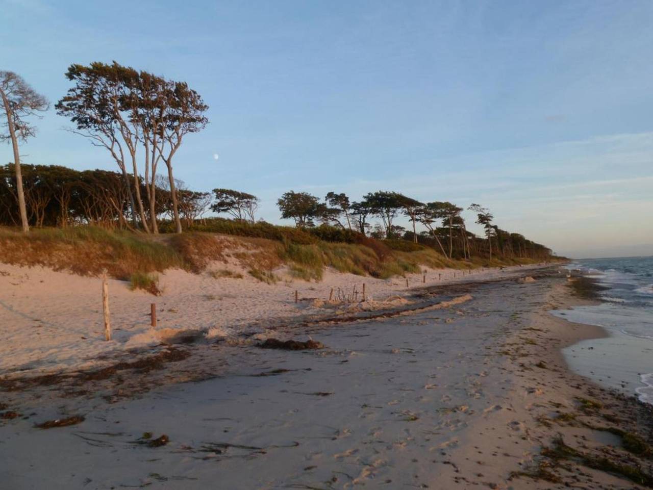Ganze Ferienwohnung, Am Bernsteinweg in Born am Darß, Fischland - Darß - Zingst