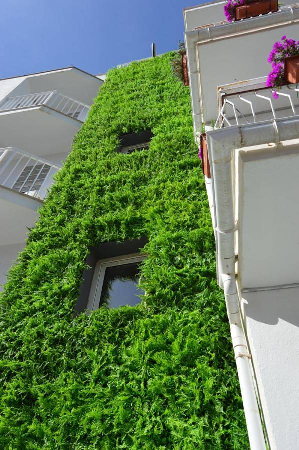 Maison d’hôte pour 2 personnes, avec balcon et vue à Palma de Majorque - 3