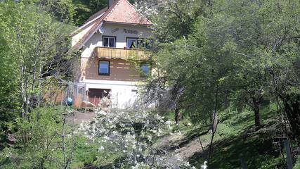 Ferienwohnung für 5 Personen in Triberg, Hochschwarzwald, Bild 4