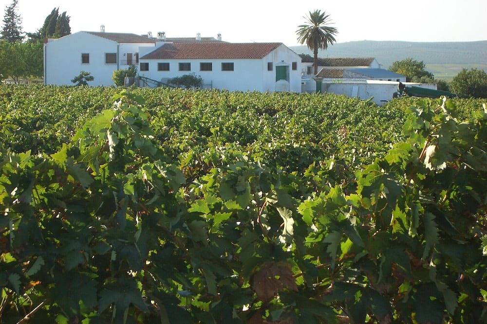 Cortijo andaluz tradicional en Córdoba in Moriles, Provincia de Córdoba