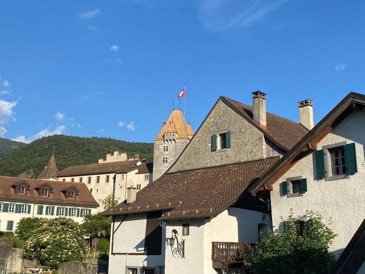 Gîte pour 3 personnes, avec Balcon et Terrasse ainsi que Jardin et Vue à Aigle