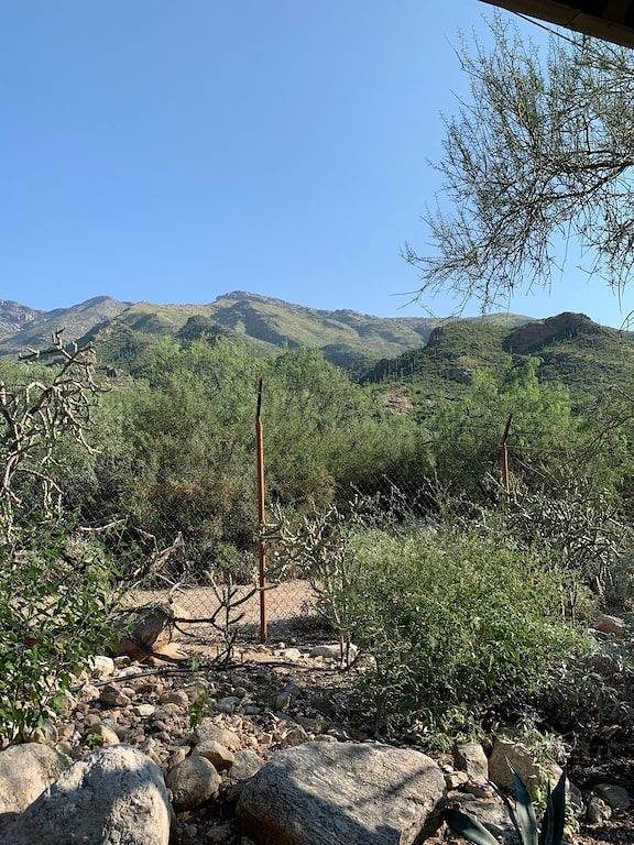 Ganze Wohnung, Canyon View 2bd 2ba, king + qn beds, pools, hiking, pickleball, gym, mtn views in Catalina Foothills, Pima County