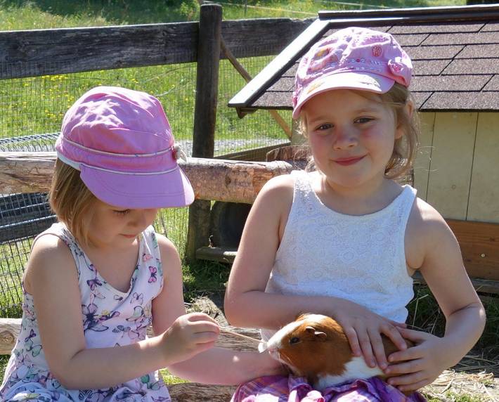 Bauernhof für 4 Personen, mit Pool und Balkon sowie Garten in Landkreis Lindau - 4