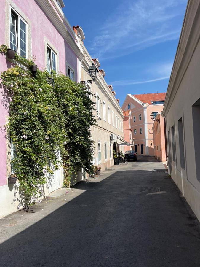 Apartamento inteiro, Casa Cor de Rosa in Lisboa, Costa de Lisboa