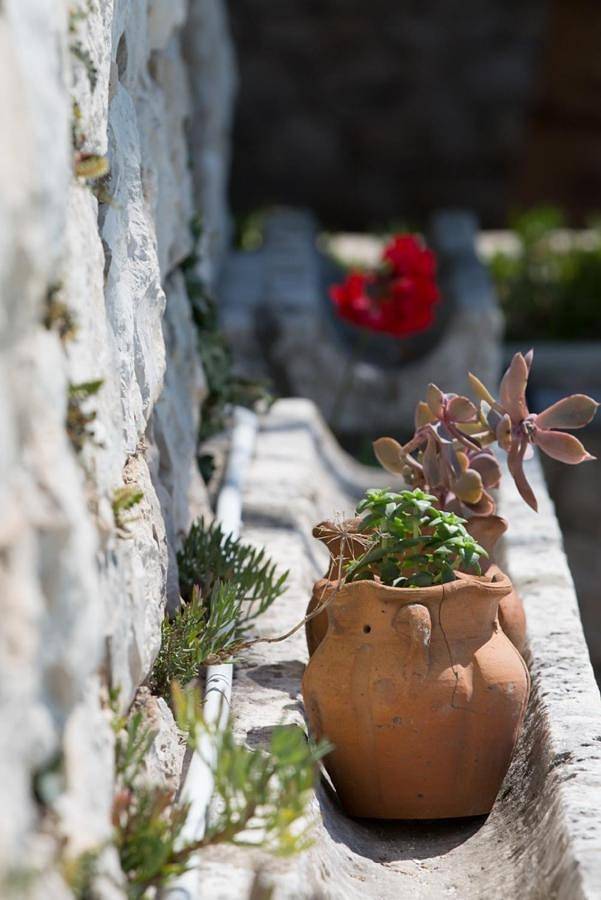 Villa pour 6 personnes, avec jardin ainsi que vue et piscine, animaux acceptés à Lozica - 2