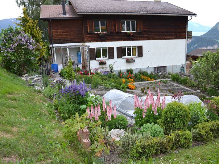 Ganze Ferienwohnung, Wohnung Hof Coms - 5-Bettwohnung in Urmein, Hinterrhein