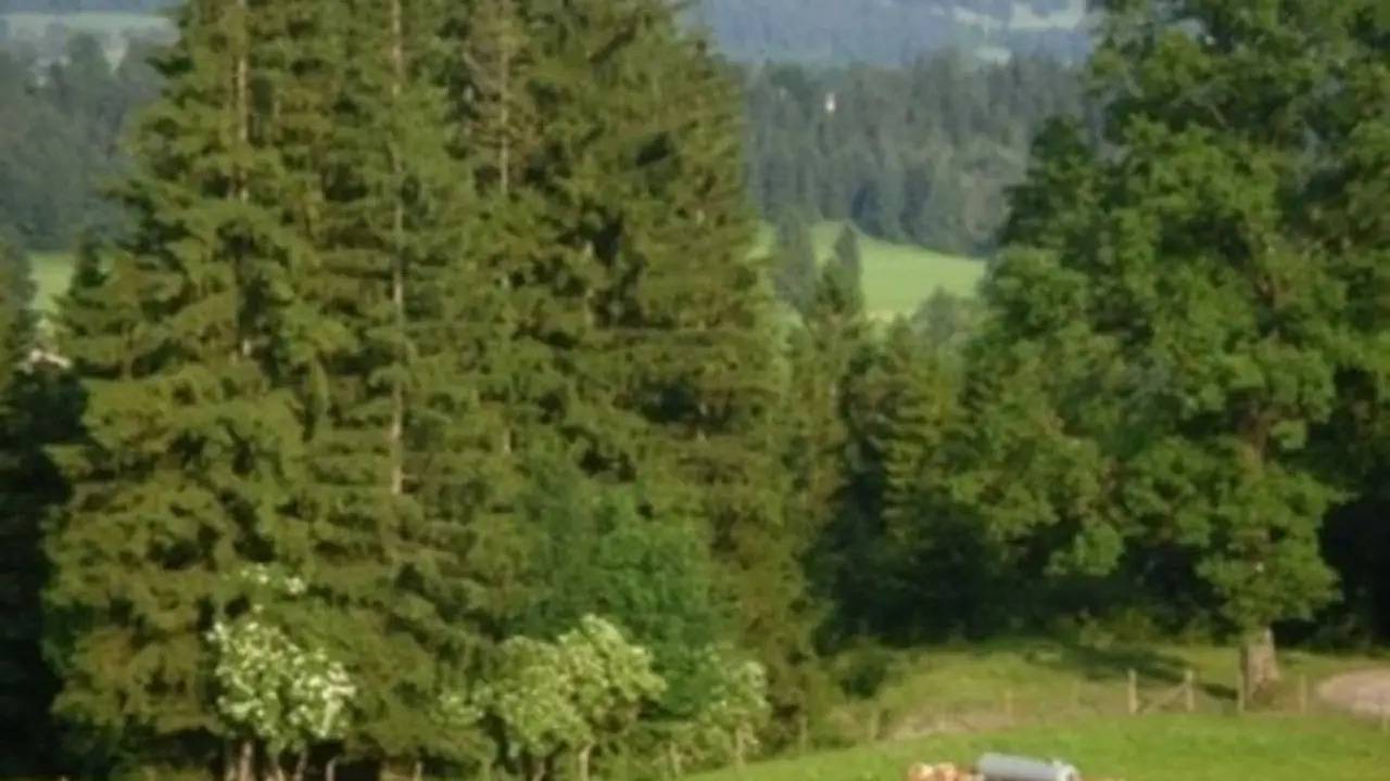 Ganze Ferienwohnung, Ferienwohnung für 5 Personen (70 m²) in Fischbachau in Fischbachau, Bayerische Alpen