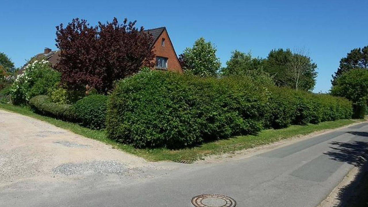 Ganze Ferienwohnung, Ferienwohnung für 2 Personen (50 m²) in Midlum in Midlum, Föhr