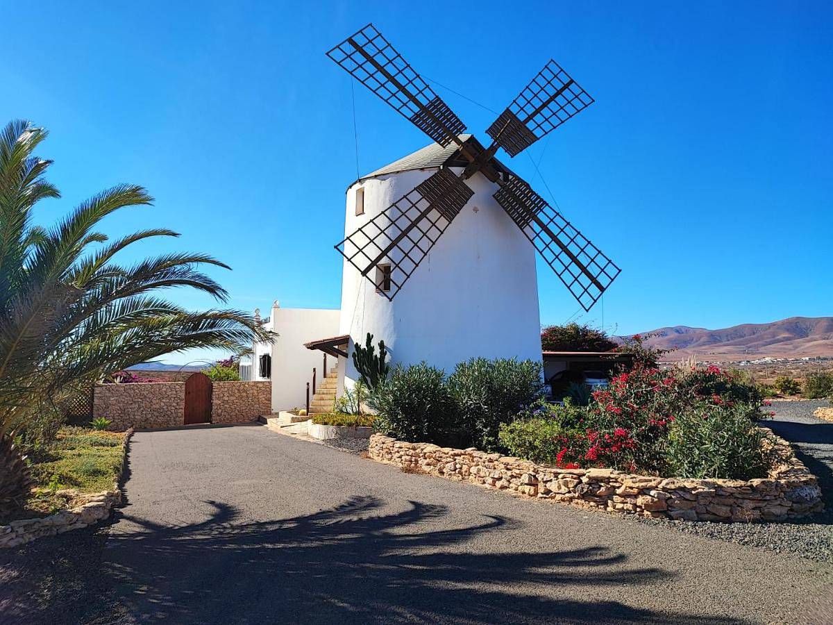 Finca El Molino B&B Fuerteventura (Windmill House) in Triquivijate, Antigua