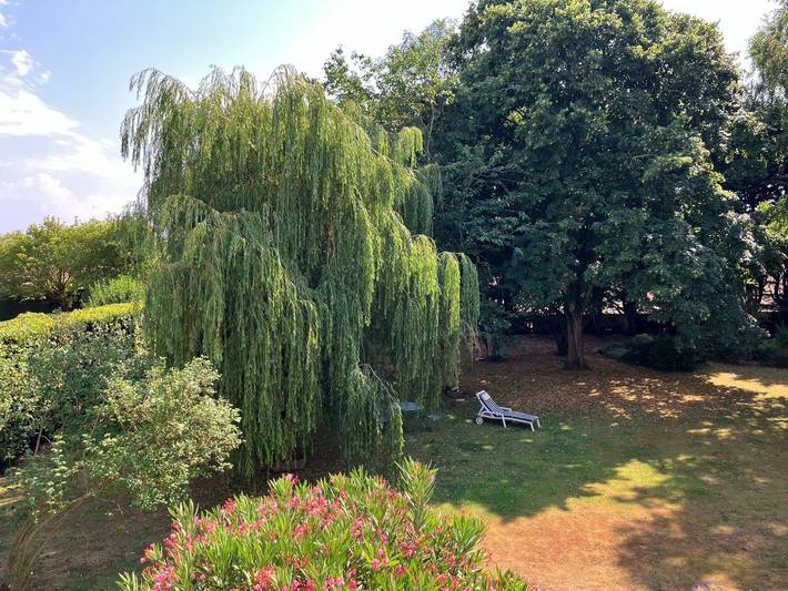 Chambre d’hôte pour 2 personnes, avec Jardin à Saint-Malo - 4