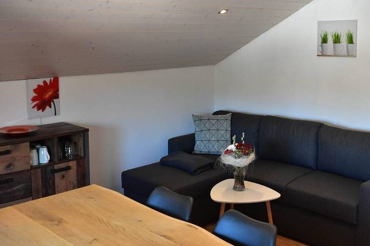 Ganze Wohnung, Mansardenwohnung 45qm mit Tageslichtbad in Schwarzenbach an der Saale, Landkreis Hof